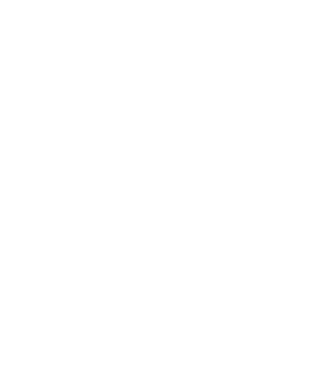 Reborn Logo